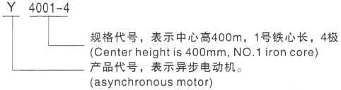 西安泰富西玛Y系列(H355-1000)高压YR5601-4/1120KW三相异步电机型号说明